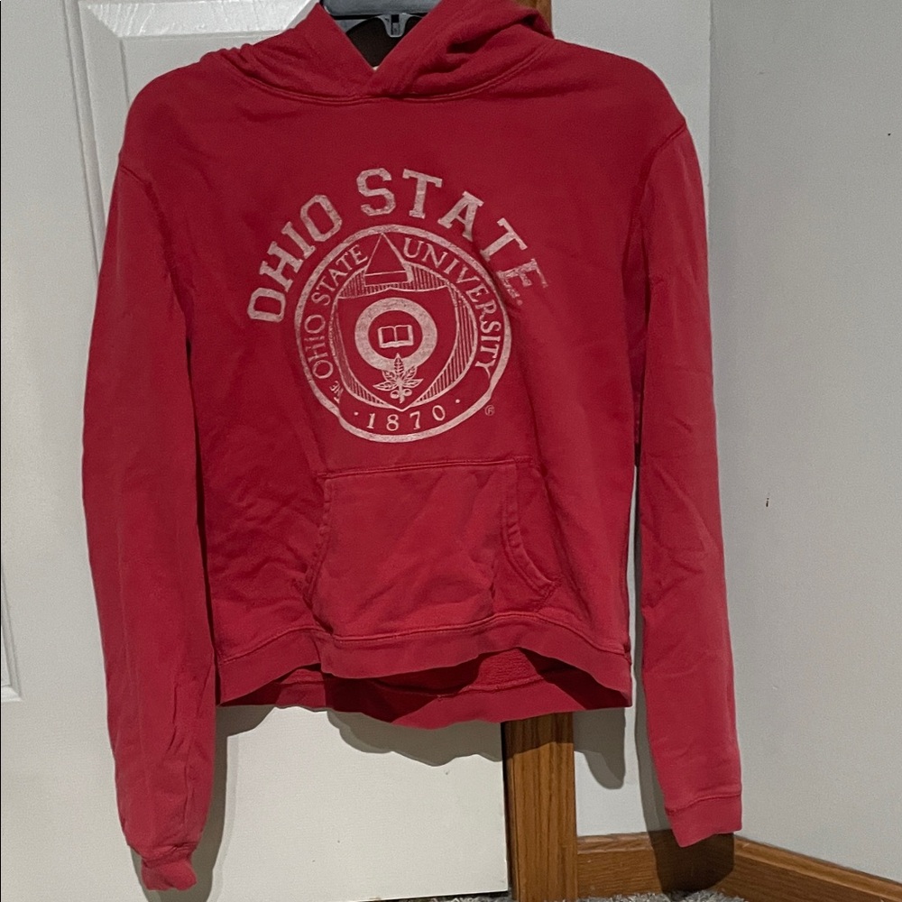Red Hoodie Sweater